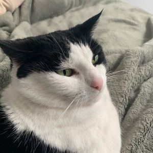 Meet your Posher, Matthew